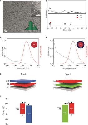 Nanoengineering InP Quantum Dot-Based Photoactive Biointerfaces for Optical Control of Neurons